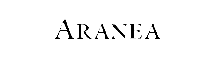 Aranea photo Aranea 40 Free Stylish Retro Fonts for Designers