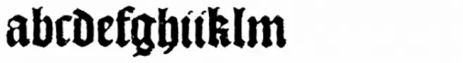 1492 Quadrata Bold