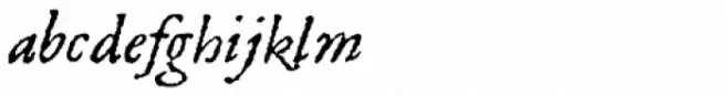 1589 Humane Bordeaux Italic