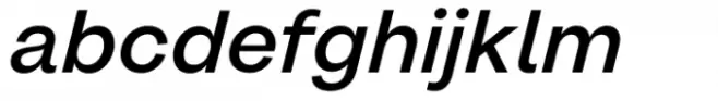1955 Medium Italic
