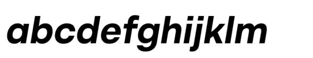 Alexer Bold Italic