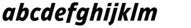 Ambiguity Tradition Bold Italic