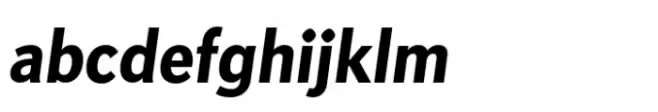 Apres Narrow Black Italic