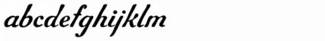 Archive Roundface Script