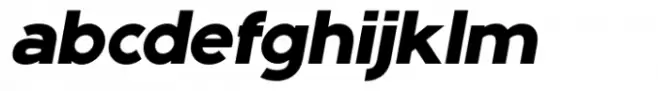 Aron Black Italic