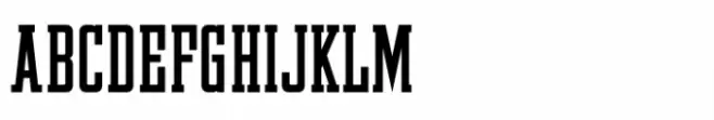 Automotive Service JNL Regular