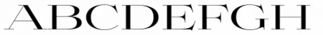 Aviano Didone Fine Medium
