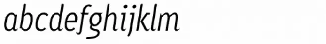 Ayumi Pro Italic