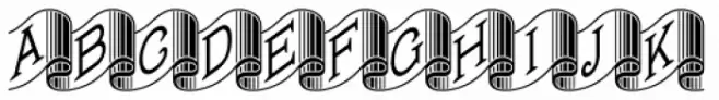 Banner Year NF