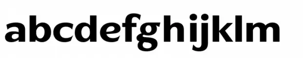 BD Gitalona Harmony Bold