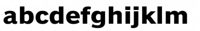 Benton Sans RE Bold