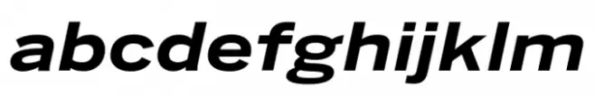 Benton Sans Std Wide Bold Italic