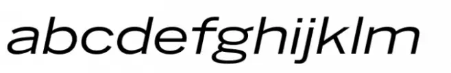 Benton Sans Std Wide Italic