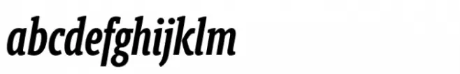Berlingske Slab ExtraCondensed Std Demibold Italic