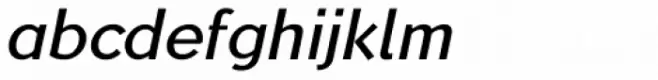 Bernhard Signature Demi Bold Italic