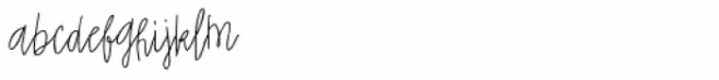 Black Dolphin Signature Script