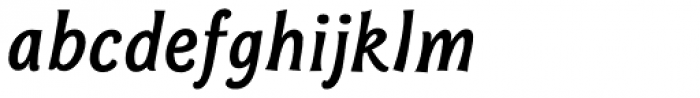 Bonobo Bold Italic