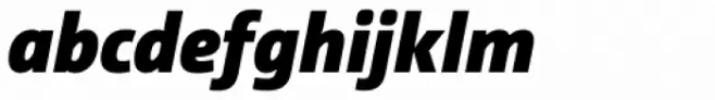 CamingoDos Black Italic