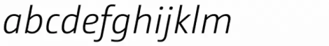 CamingoDos Light Italic
