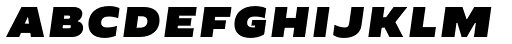 Cannon SC Black Italic