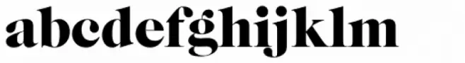 Caslon Graphique D
