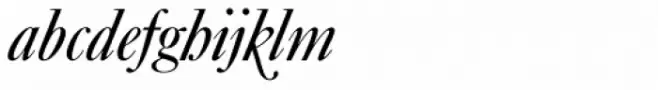 Caslon No 540 Swash D Italic