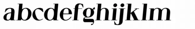 Cellofy Black Italic