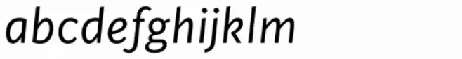 Cinta Book Italic