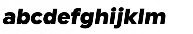 Cogenta Text Black Italic