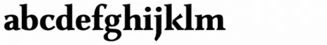 Combi Serif Bold