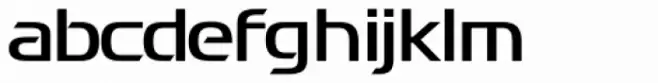 Cygnus Bold