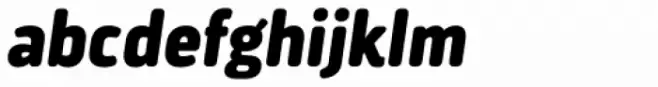 Darwin Essential Alt Rounded Black Italic