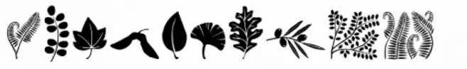 DB Foliage