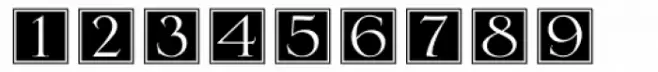 Deconumbers Pi #3 (Serlio)