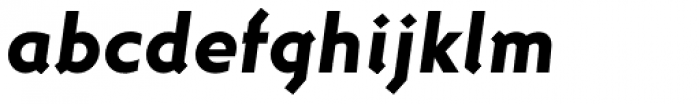 Dee Dee Heavy Italic
