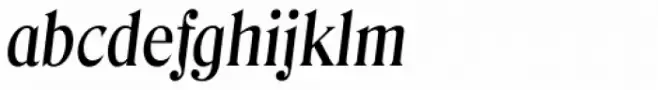 Denver TS Medium Italic