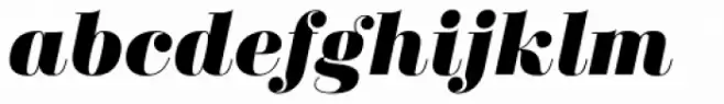 Didonesque Black Italic
