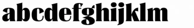 Dilemma Serif Black