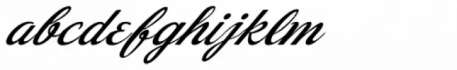 Dream Lover Bold Oblique