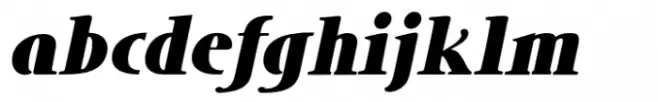 DT Skiart Lexiconic Black Italic
