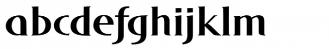DT Skiart Serif Leaf Less Bold