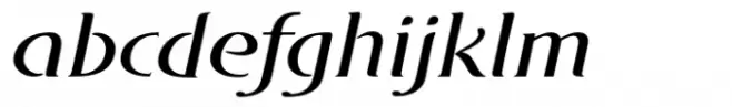 DT Skiart Serif Leaf Medium Italic