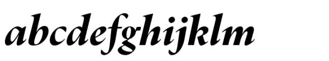 Dupincel Large Black Italic
