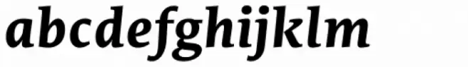 Edit Serif Pro Bold Italic