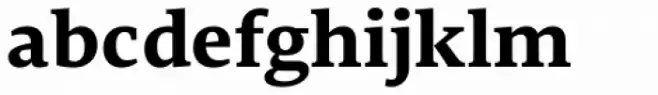 Edit Serif Pro Bold