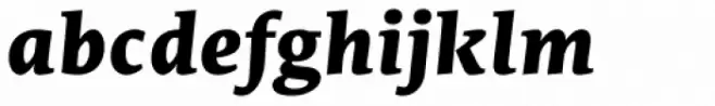 Edit Serif Pro Extra Bold Italic