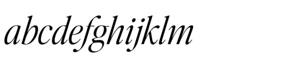 Editors Note Light Italic