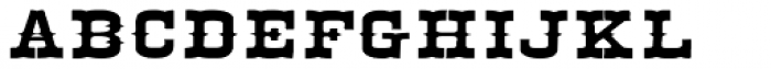 Egiptian Ornamented N3