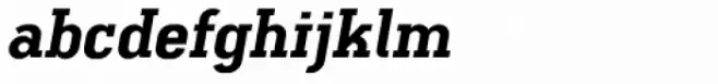 Ferguson Black Italic