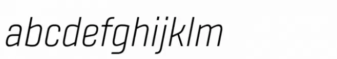 Fester Book Italic